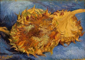 Los Girasoles de Van Gogh, como nunca se los habían explicado